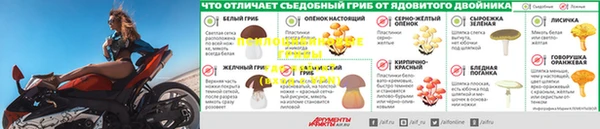 не бодяженный Няндома