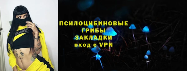 а пвп мука Абаза