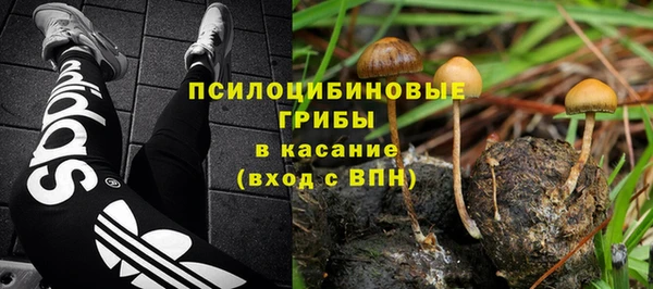 а пвп мука Абаза