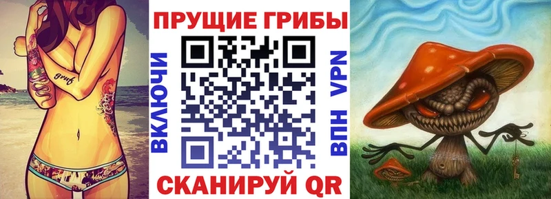 Псилоцибиновые грибы GOLDEN TEACHER  наркошоп  Костомукша 