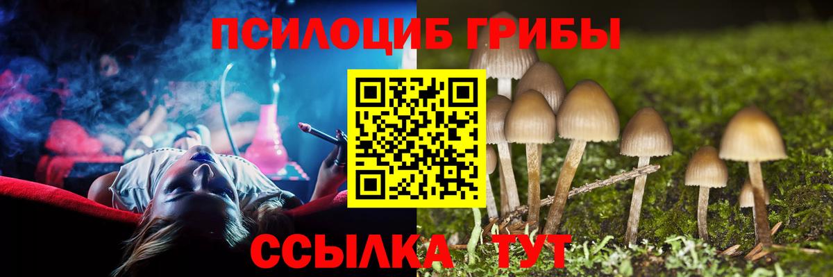 Псилоцибиновые грибы Cubensis  Вход с VPN  Костомукша 