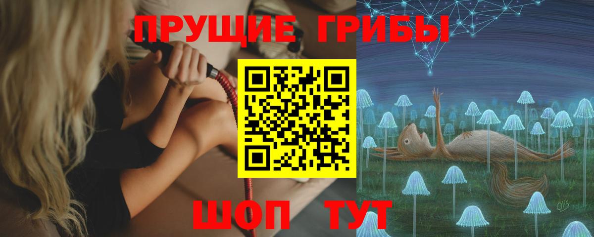 Псилоцибиновые грибы Psilocybe Костомукша